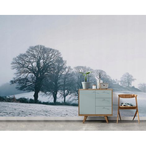 Fototapete Bäume Nebel Landschaft, für Wohnzimmer und Schlafzimmer, 300 x 210 cm – Komplettset inkl. Kleister & Anleitung (1/5)