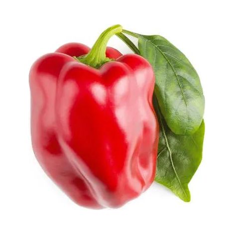 Kit Click & Grow Click & Grow per peperoni rossi