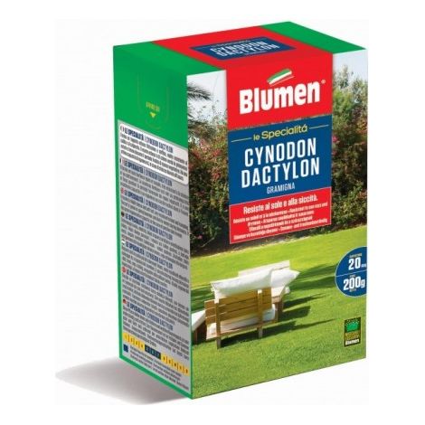 SEMI PRATO CYNODON DACTYLON 200 GR