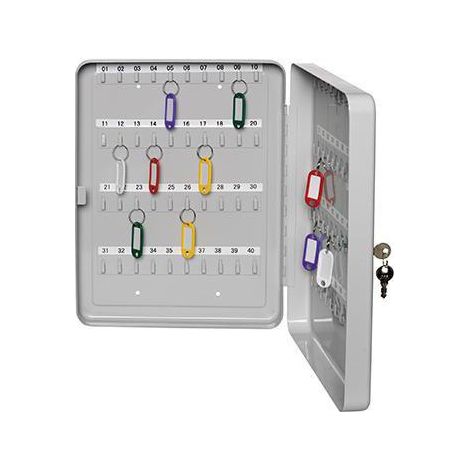 ALCO Schlüsselkasten 891 Anzahl Haken 30 Lichtgrau (1/2)