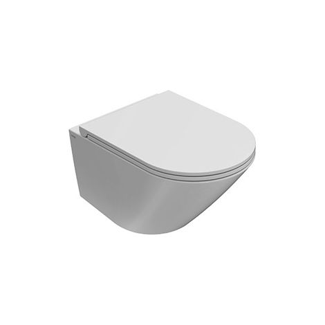 Water Forty3 sospeso senza brida (rimless) cm. 52x36 bianco (1/8)