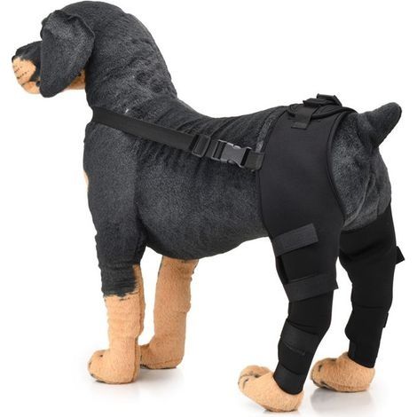 Protecteur de Pattes postérieures pour Chien de Compagnie, genouillère réglable, Support de Jambe, attelle de Jarret de Chien(XS-Noir) (1/5)