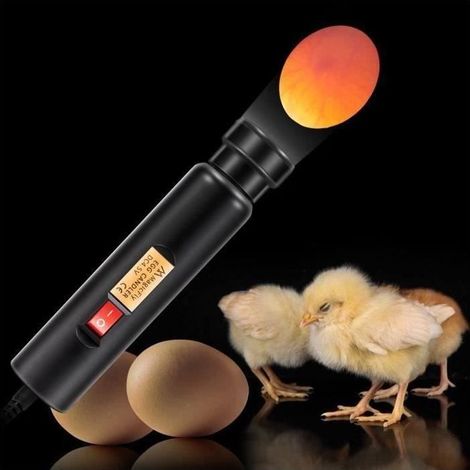 Accessoire - Drfeify - Mire Oeufs LED - Noir - Pour Poule (1/4)