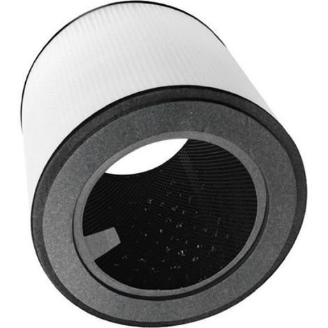 1 PièCes Accessoires de Remplacement de Filtre HEPA pour FY0293 FY0194 AC0810 AC0819 AC0820 AC0830 Purificateur D'Air (1/5)