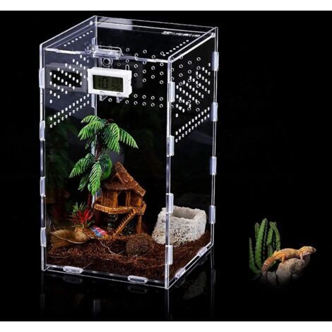 Terrarium en acrylique avec boîte d'alimentation pour insectes, idéal pour les grenouilles scorpions.
