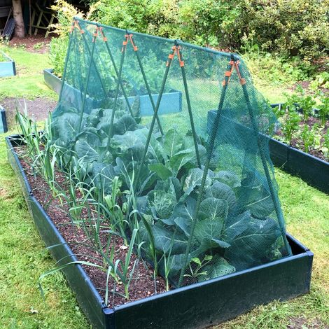 Super Cloche Brassica Cage with Butterfly Netting - 2.4m x 0.75m x 1m high