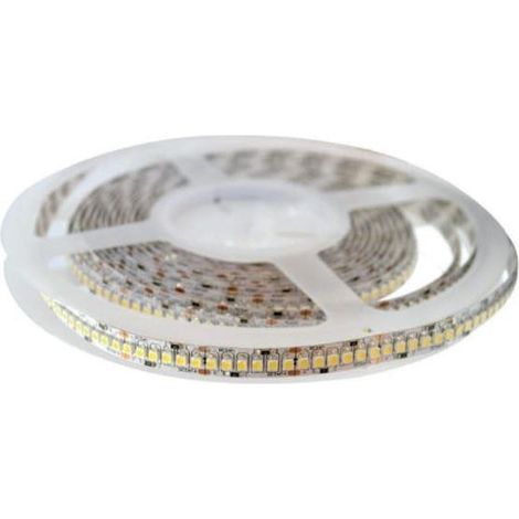 STRIPLED SMD5050 14,4W/MT 1310LM/MT RGB 24V  36LED/MT 24V LARGHEZZA STRISCIA 10mm (1/2)