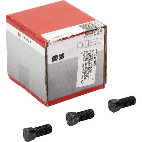 Arado de dos extremos'perno + tuerca UNIVERSAL 1232C2FP025