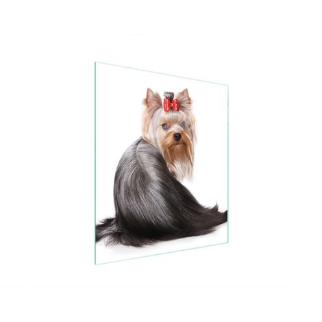 TABLA DE CORTAR DE VIDRIO 45x52 PERRO (1/5)