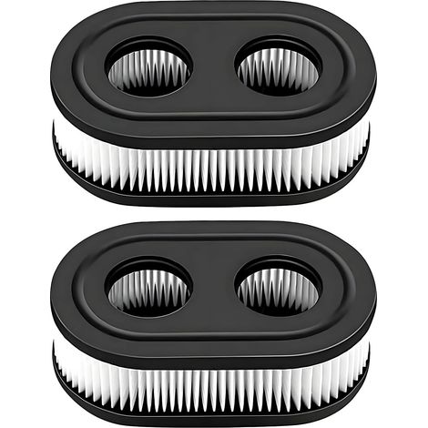 Lot de 2 filtres à air Briggs & Stratton – remplace 798452, 798339, 593260, compatible 550E, 550EX, 575EX. (1/5)