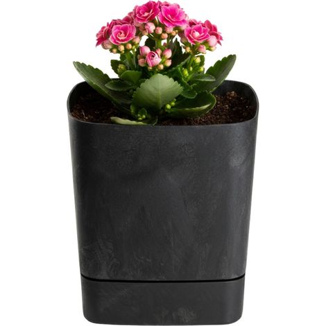 CUBI Blumentopf mit Untersetzer, recycelter schwarzer Beton, 16 x 16 cm