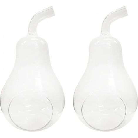 Lot de 2 vases à poser terrarium verre transparent poire - GLASSSBOX (1/5)