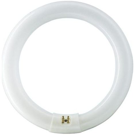 PHILIPS TL-E 22W/865 1CT/12 kühles Tageslicht, Ringlampe mit Ø 213,5 mm, dimmbar (1/2)