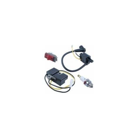 Bobine d'allumage pour tronçonneuses Husqvarna anciennes - Module compatible modèles 61, 66, 162 et 266 - (1/5)