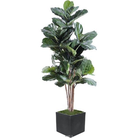 Ficus Lyrata artificiel Vert H 190 cm en pot tronc bois très chic