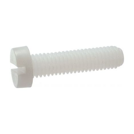 Vis métaux Tête cylindrique large TCL Fendue M6X30 nylon naturel