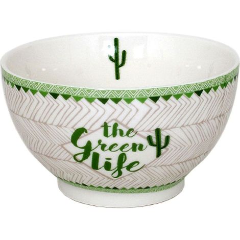 Bol en Porcelaine Cactus 480 ml