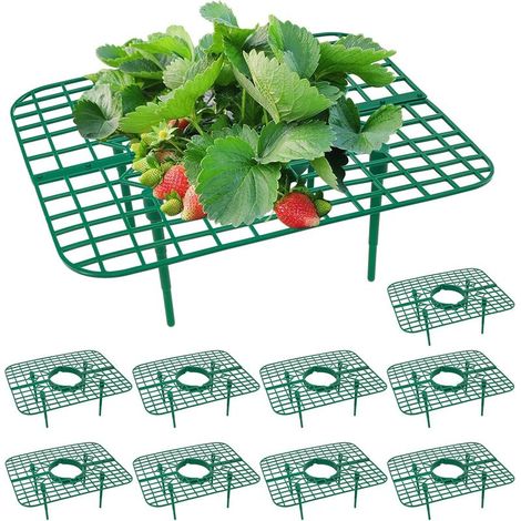 Lot de 10 supports carrés pour plantes, cadres de support pour fraisiers, supports de plantation pour garder les plantes propres (1/5)