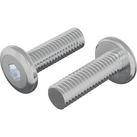 Tornillo 2 pcs Plateado 8 x 25 mm Acero vidaXL