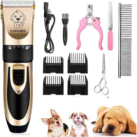 Tondeuse Pour Chien - Rechargeable une Tondeuse pour Chien Professionnelle Tondeuse Cheveux pour Chien Faible Bruit Lame Kit de Tondeuse Toilettage + Ciseaux 4 Peignes Lime à Ongles Coupe Ongle (1/5)