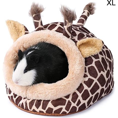 Grotte pour petits animaux, accessoires pour cages à chinchillas, jouets pour hérissons, cochons d'Inde, dragons barbus, hamsters, furets et rats (1/5)