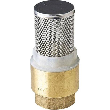 Crépine Laiton 1 po - Filtre Métal Anti-Déchets - Résistant et Durable - Homologué - D-Work (1/2)