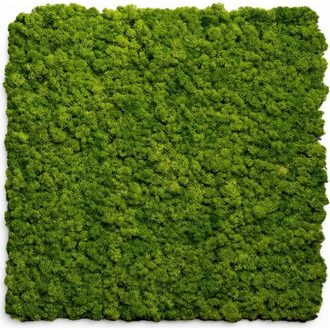 Pannello decorativo fonoassorbente acustico Set 2 pz 60x60 cm effetto muschio sintetico erba artificiale
