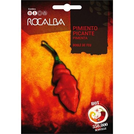 Rokalba Picancia Picbtion