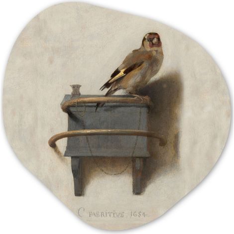 EL CUADRO Jilguero - Viejo Maestro - Carel Fabritius Cuadros Decoracion Salon Modernos 40x40 (1/4)