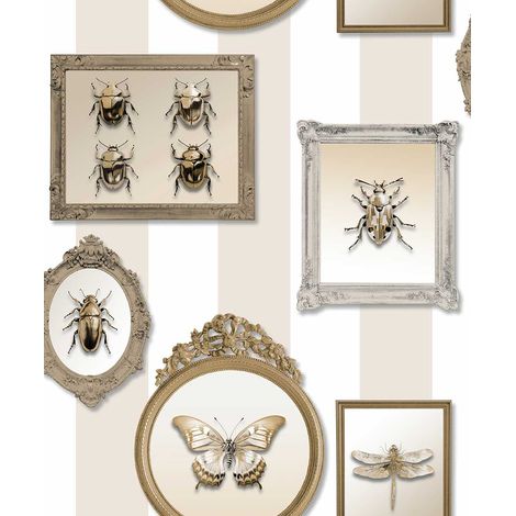 Papier peint entomologie insectes dorés cadres baroques (1/2)