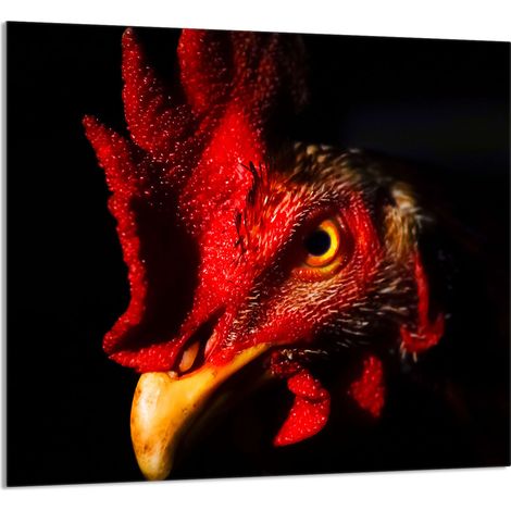GLASPLATTE FÜR KÜCHE 65x60 Hahn