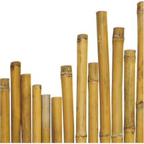 Bambusstange h 210 cm Ø 24-26 mm für Gartenpflanzen