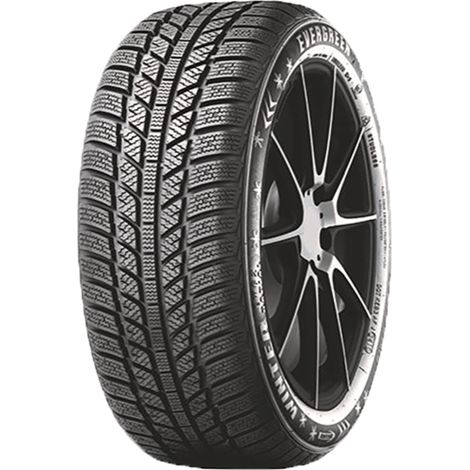 EVERGREEN Pneus hiver 205/50R16 87H TL EC71
