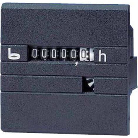 Bauser 630R/008-021-0-1-001 Contatore ore di esercizio - 630 (1/2)