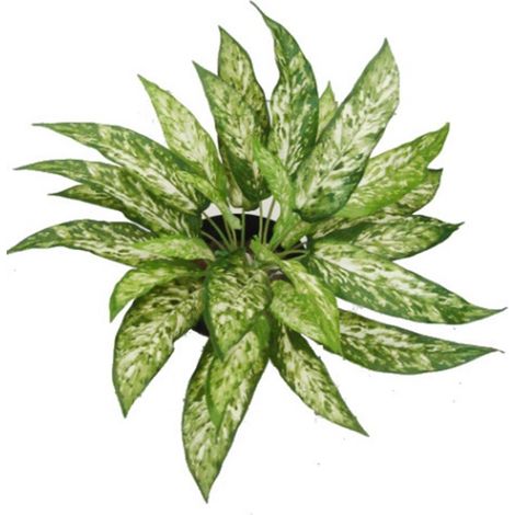 45cm Fire Retardant Artificial Aglaonema Bush