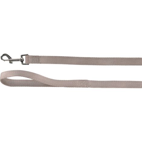 Laisse 300CM 20MM