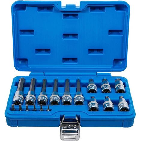 Jeu de Douilles et Embouts 18 pcs - 6,3 mm (1/4) 12,5 mm (1/2), Profil T Torx Plus - Polyvalent et Précis - D-Work (1/5)