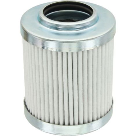 Filtro olio trasmissione idraulica Fleetgu F178950010050 (1/2)