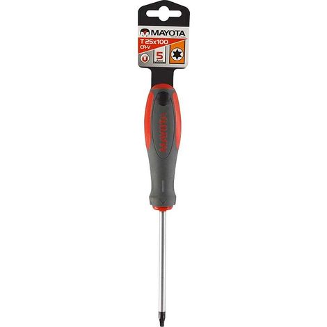 Cacciavite torx t25x100