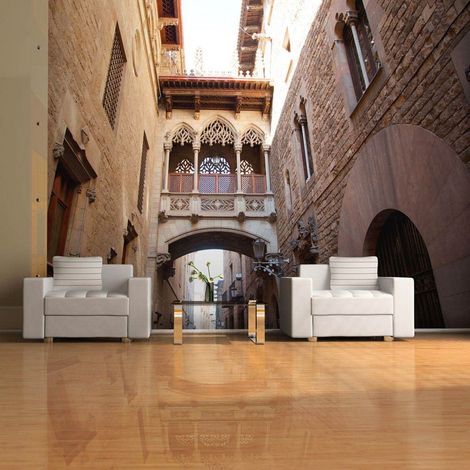 Papier peint barcelone palau generalitat dans le quartier gothique - 250 x 193 cm (1/4)