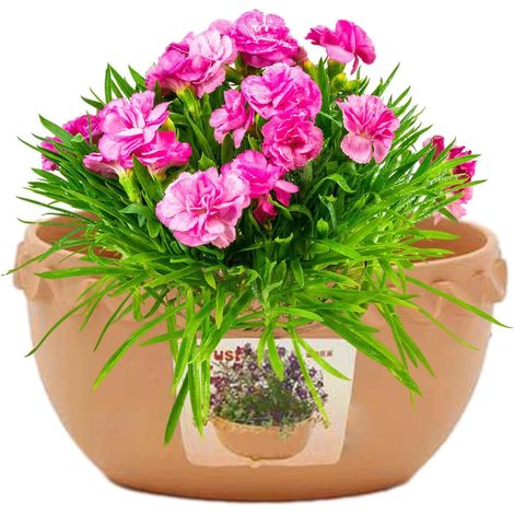 d arrosage ext rieur pots de fleurs originaux Pot de fleurs (1/5)