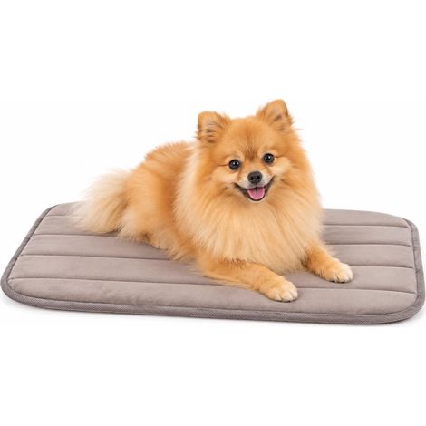 Panier Chien - Coussin Chien et Chat orthopédique Taupe - adapté Cage métallique - Mousse mémoire de Forme - 55,5 x 38,5 x 2 cm (1/5)