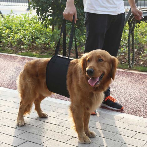 Arnés de rehabilitación negro para perros con asa para asistencia canina (L) (1/5)