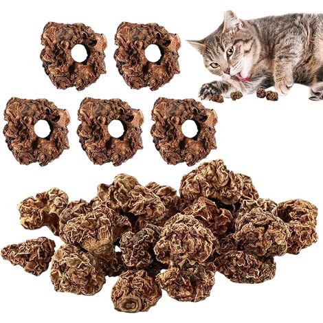Cerioll Matatabi Cat Toys Fruit Shape Cat Toys 20 Pack Cat Fruit Cat Toys for Cats Teeth Cleaning Edible Dental Cat Toys Teeth Cleaning (1/5)