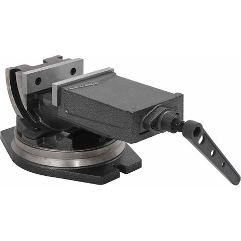 Étau inclinable à 2 axes pour perçage et fraisage en fonte pour établi gris 160 mm (1/5)