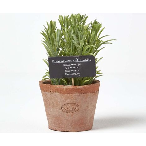 Homescapes Plante aromatique artificielle en pot, Romarin