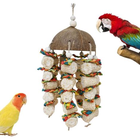 Jouets pour Oiseaux en Coquille de Noix de Coco, Jouets à mâcher pour Perroquet Jouets de Perroquet en Coquille de Noix de Coco en épi de maïs pour Grands Oiseaux - Jouets à Suspendre pour nichoir, (1/5)