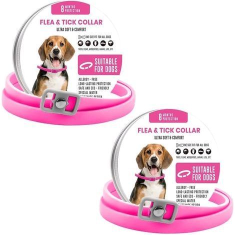 Collare regolabile antipulci e zecche per cani - Protezione per 8 mesi - Taglia unica (65 cm) (1/5)