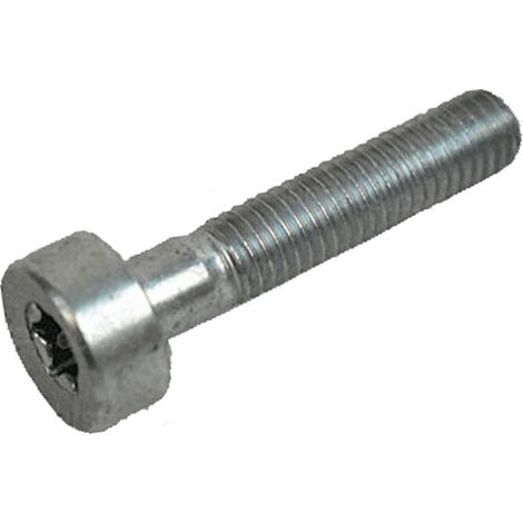 Vite a testa cilindrica IS M 5x25 STIHL 42377160400