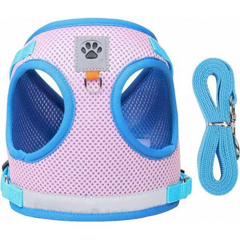 Ensemble Harnais et Laisse pour Chat Anti-évasion, Respirant Réfléchissant Harnet pour Lapin, Gilet de Sécurité Souple pour Chat, Attache Dessus avec Laisse, pour Compagnie Lapin Chats Et Chiots (1/5)